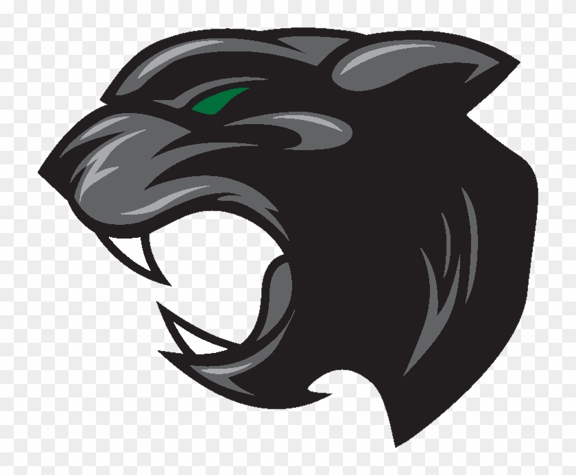 Mehlville Panthers - Mehlville High School Panthers #518227