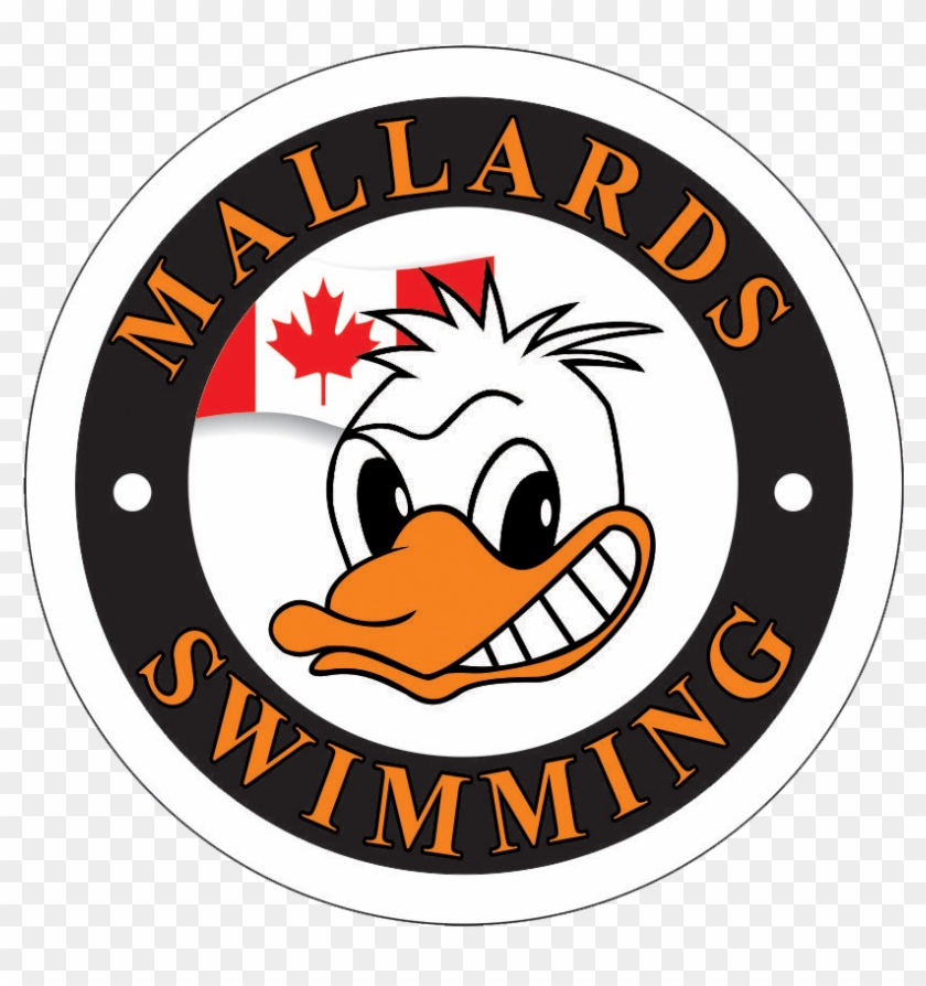 Mallards Swimming Team In Markham - Graphic Design #518294
