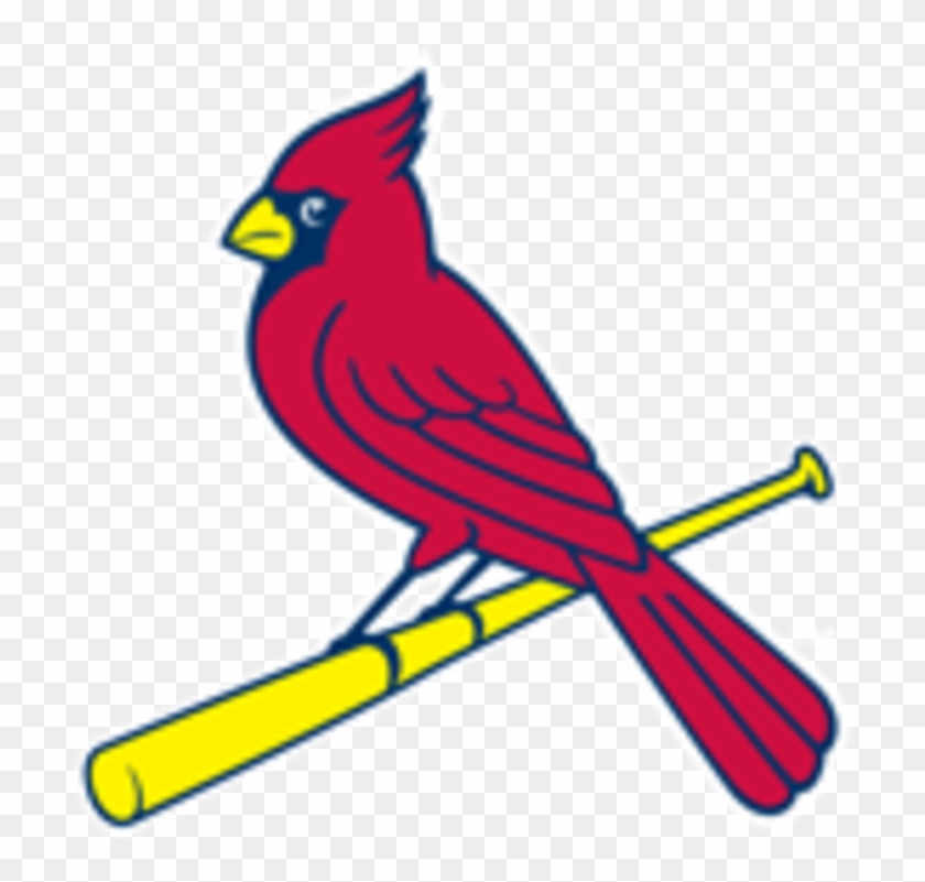 St Louis Cardinals #518375