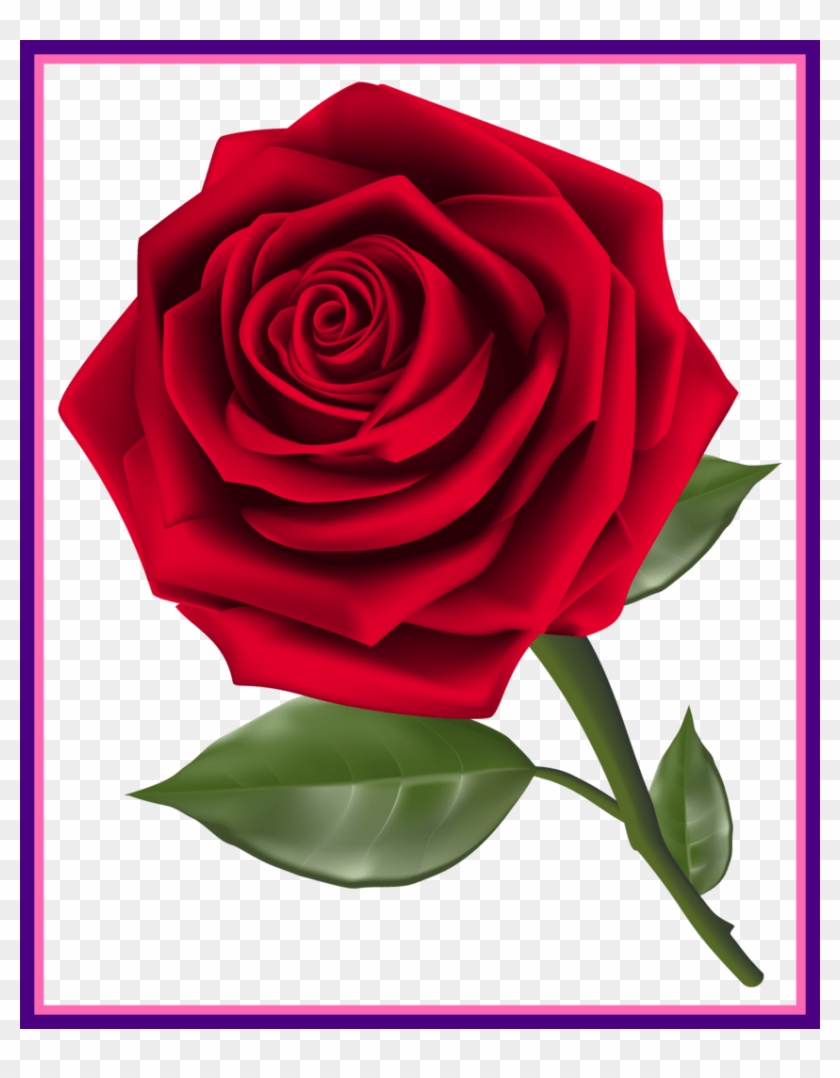 Shocking Red Rose Png Clipart Pic For Flower No Background - Birthday Card Message For Husband #518432