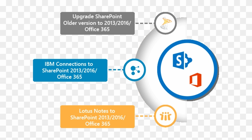 Migration Version Details - Office 365 #518724