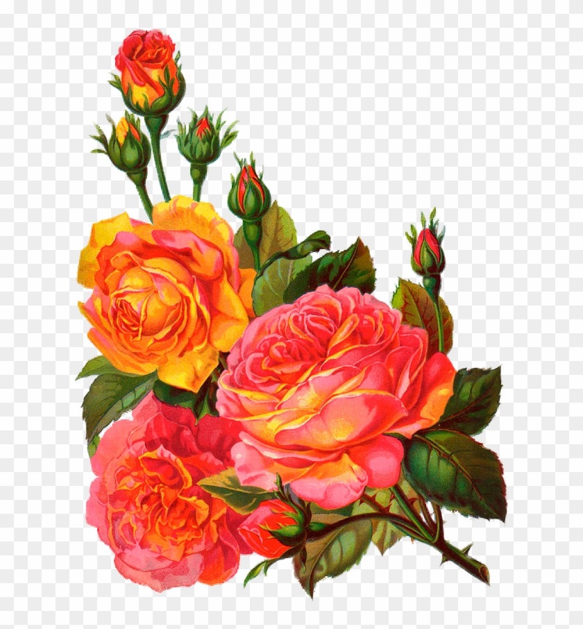 Розы - Floral Happy Birthday Greetings Card #519042