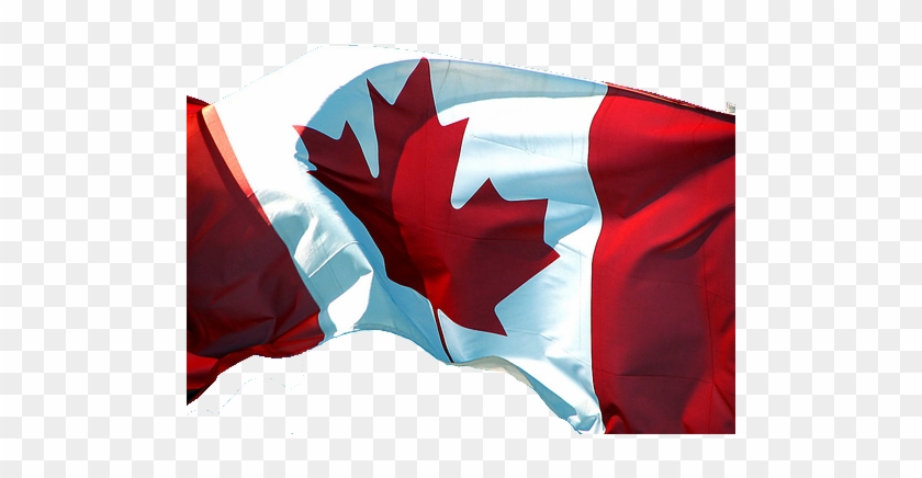 Canadian Flag - Canada Flag Transparent Png #519763