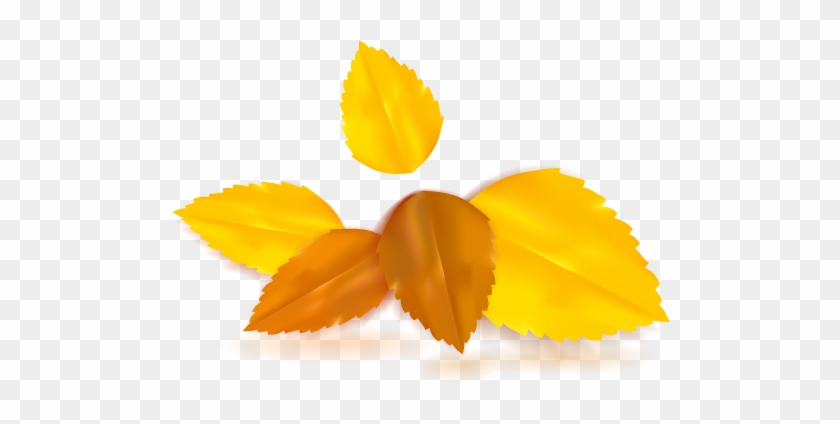 เผื่อเพื่อนๆ อยากได้สีที่โทนเดียวกัน - กรอบ ดอกไม้ สี เหลือง #519812