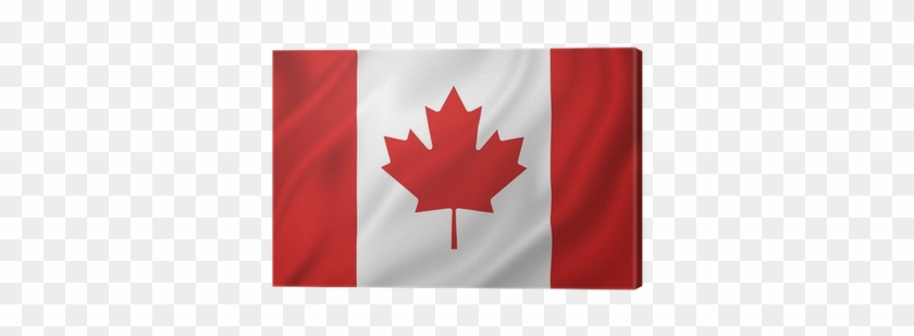 Canada Flag #519826