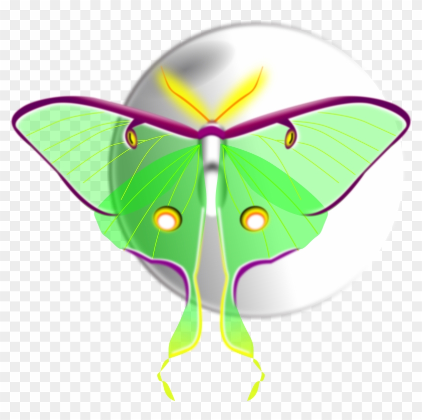 Luna Moth - Clip Art #520058