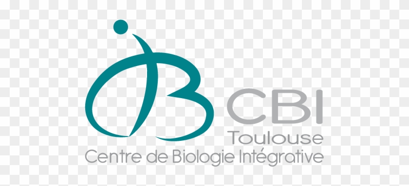 Recruitment Programme In - Logo Cbi Toulouse #520102