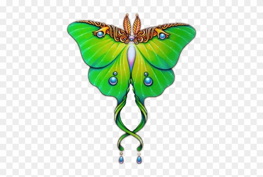 Butterfly Green Jewel Beautiful Beauty - Luna Moth Body Drawing #520132