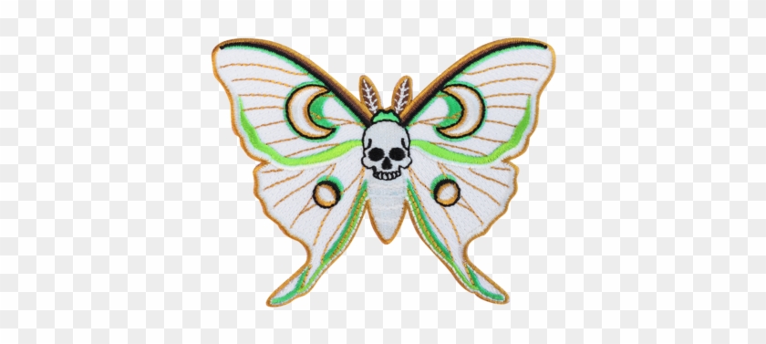 Luna Moth Patch - Luna Moth #520262