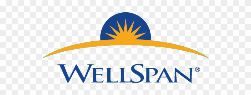 Job Recruitment Open House February - Wellspan Logo #520261