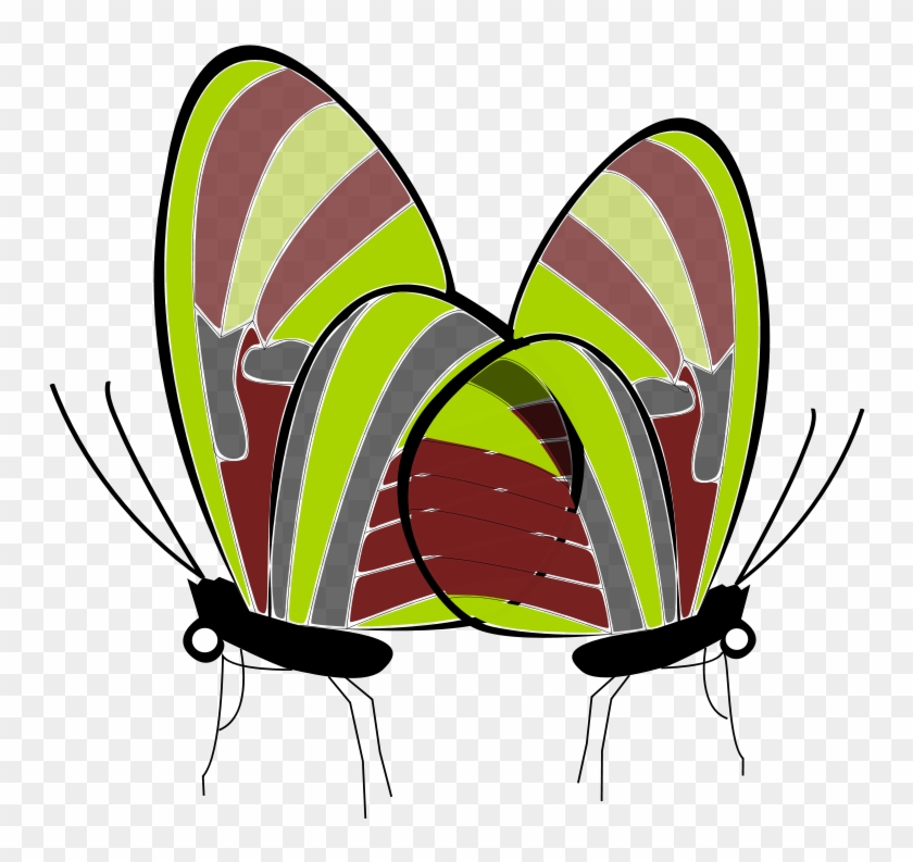 Free Butterfly Zebra Long Wing Free Butterflies - Clip Art #520268