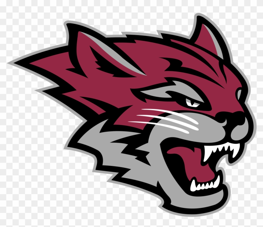 Chico State Wildcats Wikipedia Rh En Wikipedia Org - California State University, Chico #520613