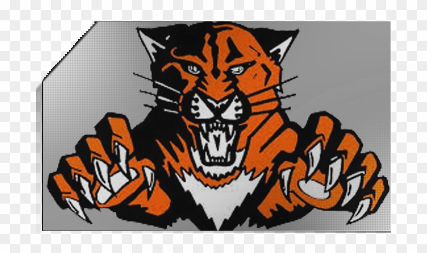 As - Libertyville Wildcats #520627