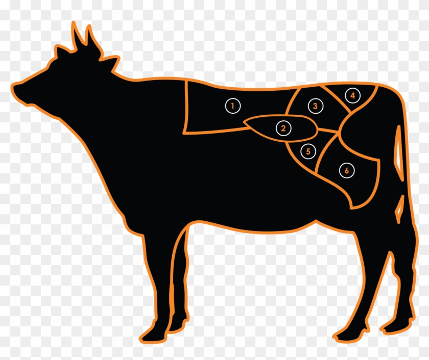 Learn Where Your Delicious Meal Comes From - Bull #521629