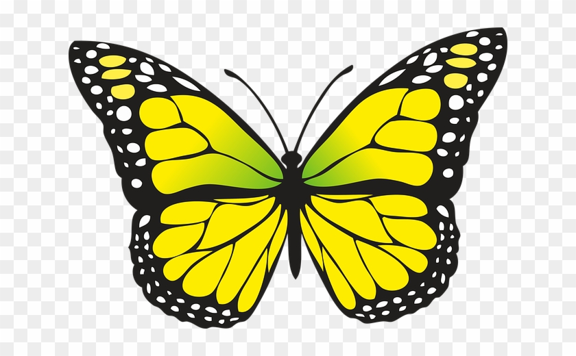 Butterfly Clipart For Kids Butterfly Clipart - Yellow Butterfly #521974