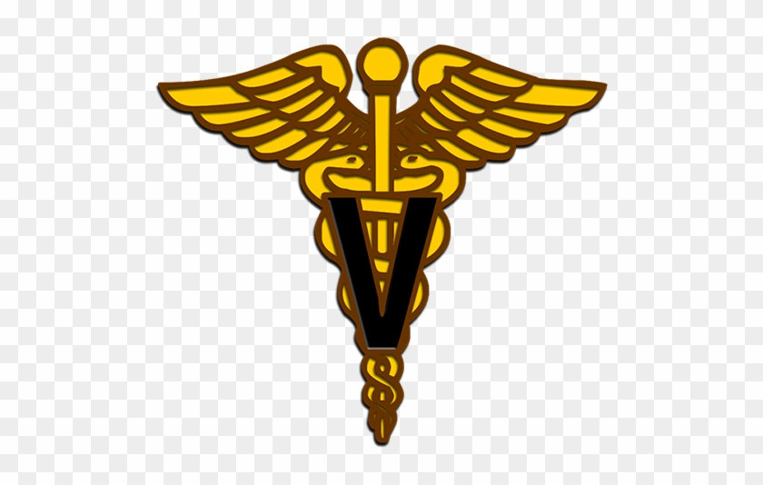 Veterinary Corps Logo - Nurses Caduceus #522225