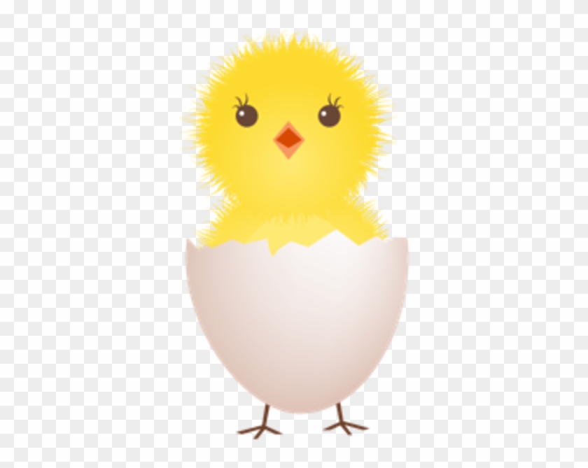 Chick And Egg Clip Art - Chicken In An Egg Clip Art #522491