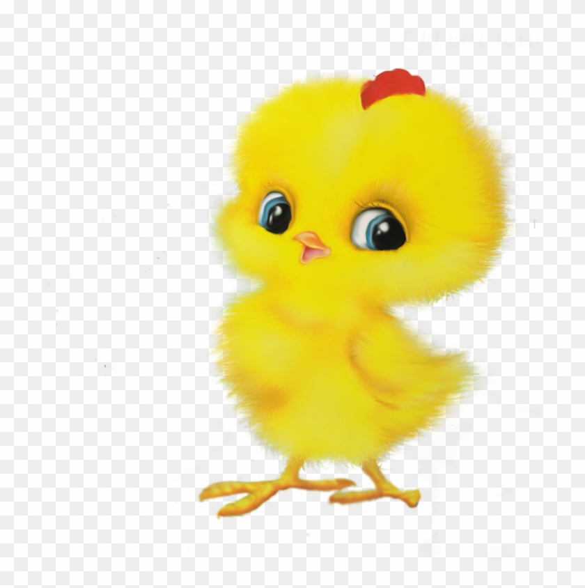 Chicken Child Game Easter Egger - Chicken Child Game Easter Egger #522566