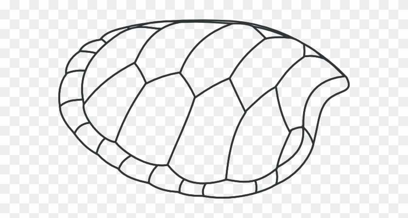 Svg Hiturtle Shell Coloring Pages - Draw A Turtle Shell #522744