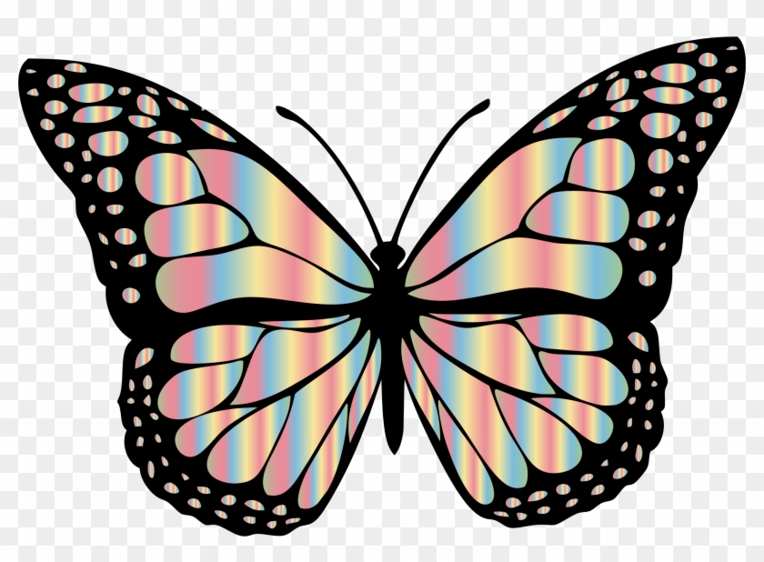 This Free Icons Png Design Of Monarch Butterfly 2 Variation - White And Black Butterfly #522796