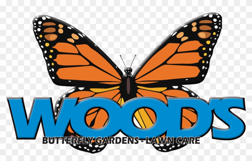 Monarch Butterfly Clipart #522852
