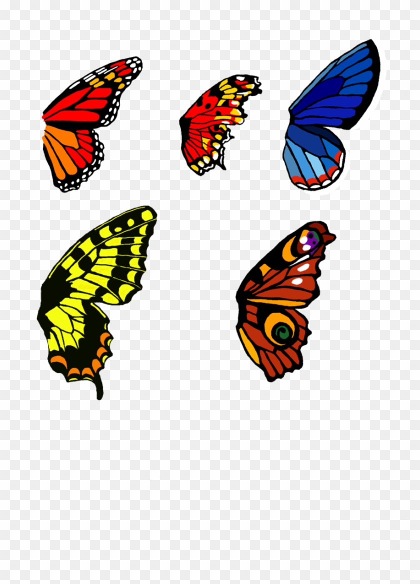 Butterfly Wing Bases Set 1 By Moondragonwings - Butterfly Artwork On Wings #522899