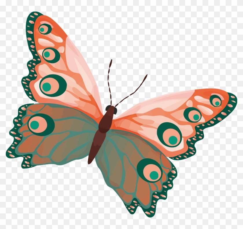 Medium Image - Butterfly Drawing Color #522920
