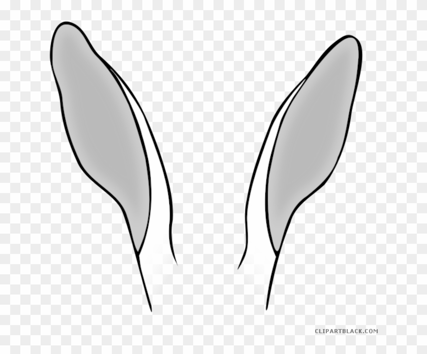 Bunny Ears Animal Free Black White Clipart Images Clipartblack - Rabbit #522955