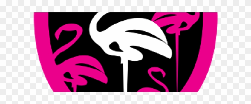 5 O Clock Somewhere Bar Is One Of All Tip Pink Flamingo Las Vegas Logo Free Transparent Png Clipart Images Download