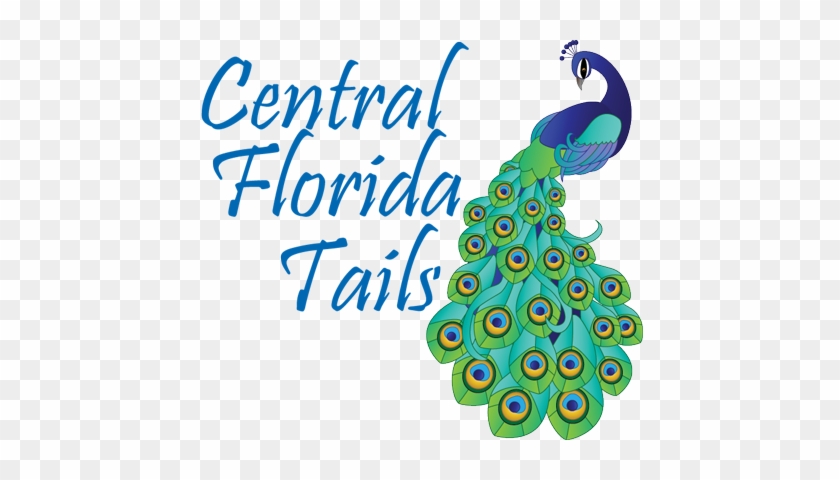 Central Florida Tails - Flowers Coloring Book: A Grayscale Coloring Book #523439