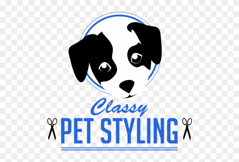 Classy Pet Styling - Twitter Header About Strong #523733