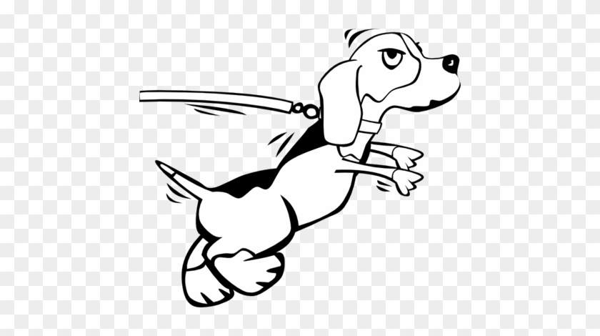 Dog Grooming - Dog On A Leash Drawing #523775