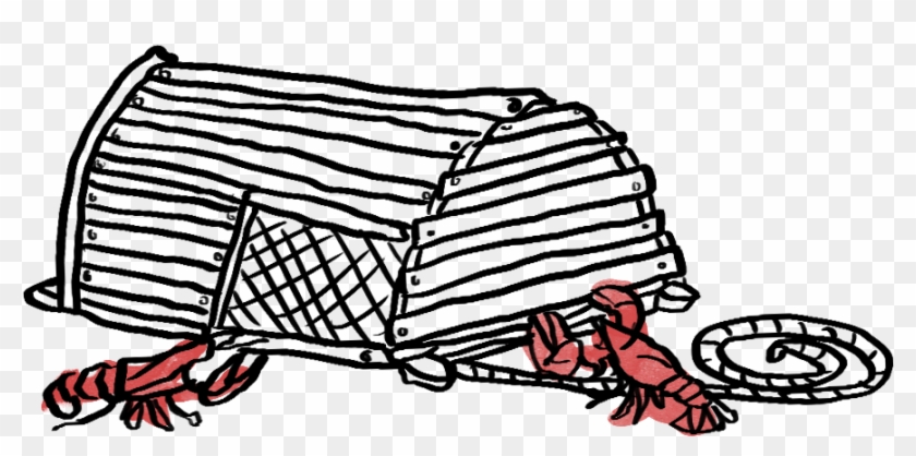 Did You Know Lobster Traps Are Actually Designed To - Did You Know Lobster Traps Are Actually Designed To #524355