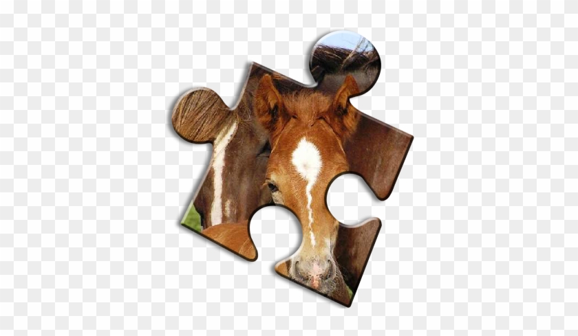 Horse Jigsaw Puzzles - Reindeer #524445