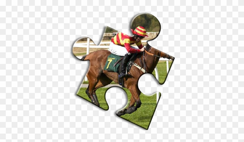 Horse Jigsaw Puzzles - Jockey #524460