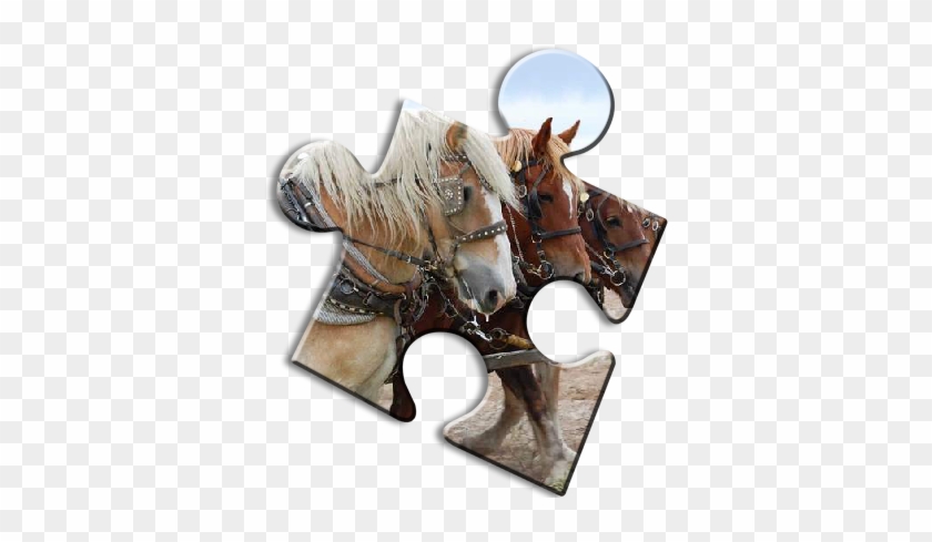 Horse Jigsaw Puzzles - Horse #524495