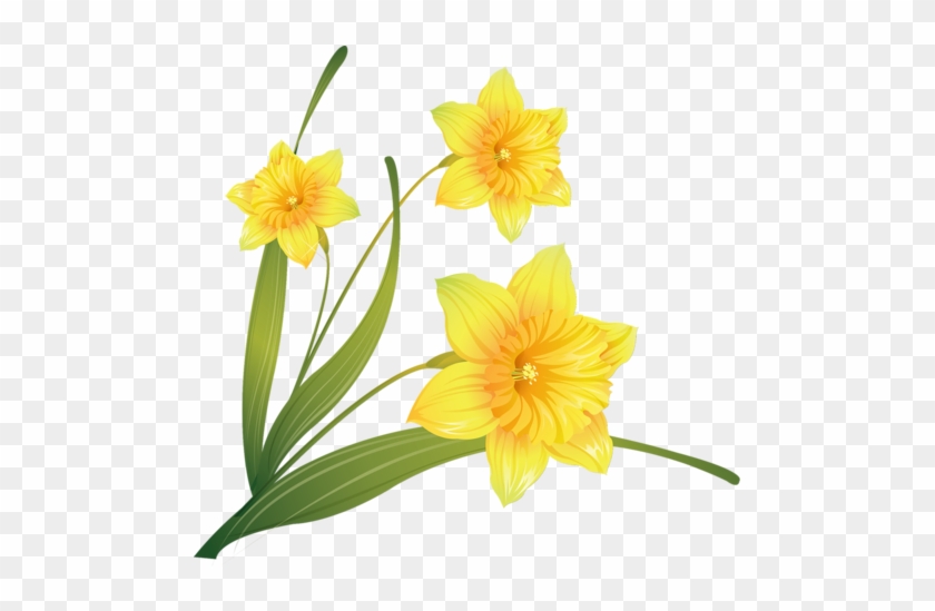 Российский Сервис Онлайн-дневников - Transparent Background Daffodil Flower Clip Art #524692