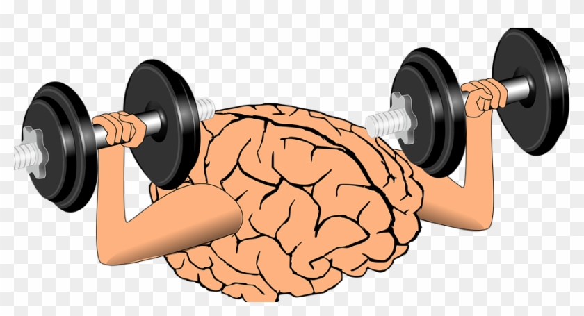 Gkjkbwef - Brain #524729