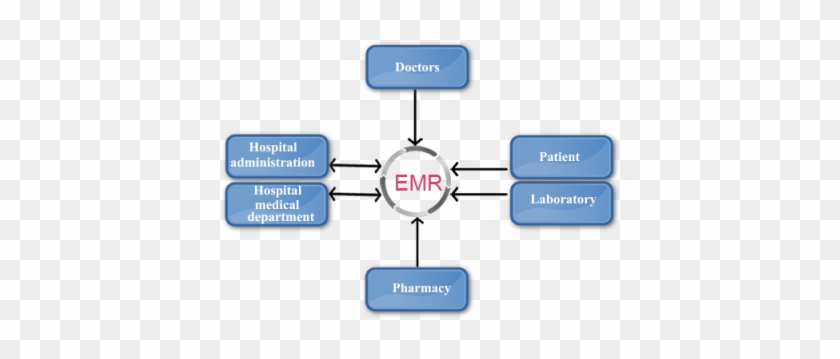 Electronic Medical Record - Electronic Medical Record Services #524932