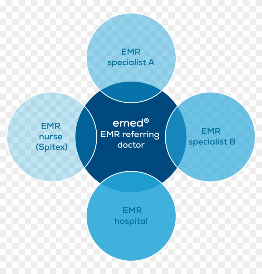 Ambulatory Electronic Medical Record And Shared Access - Diagram #524976