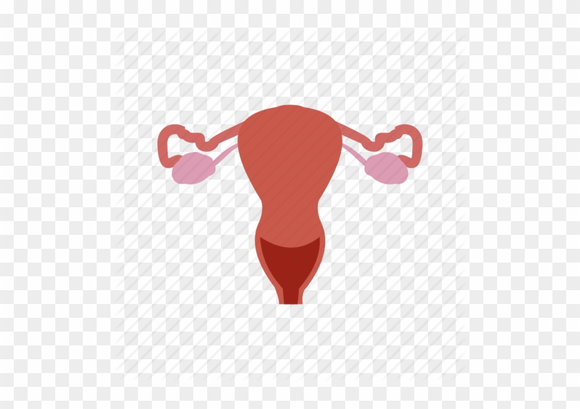 Free Medical Icons - Cervix Png #525376