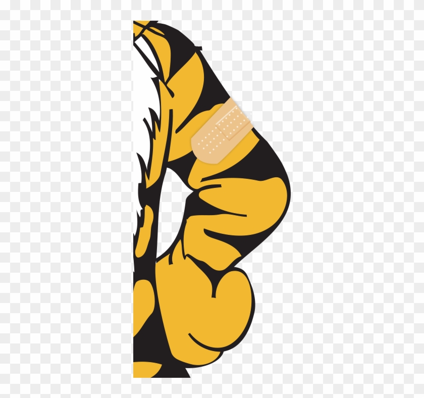 Earn Your Stripe And Get Your Flu Shot - Stockdale Missouri Tigers 6x12 Full Mascot Decal #526223