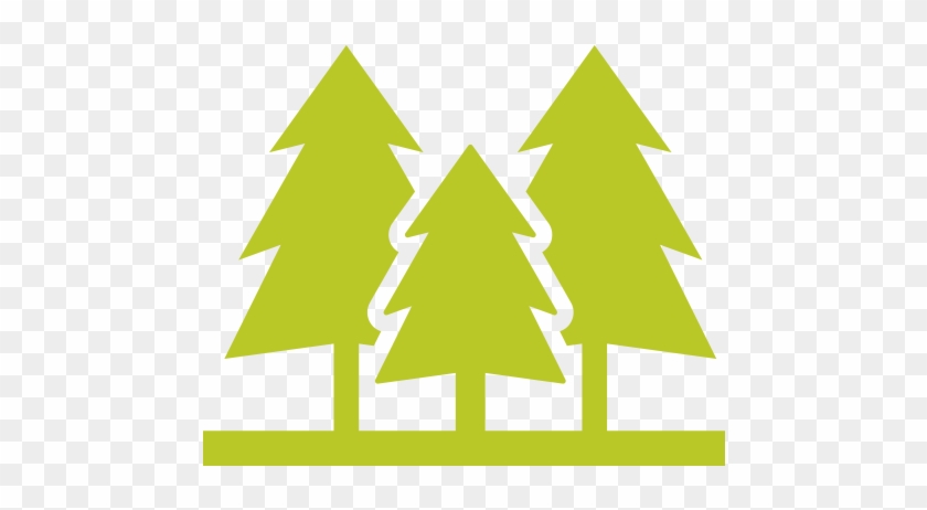 Cromwell Valley Park - Forest #526470