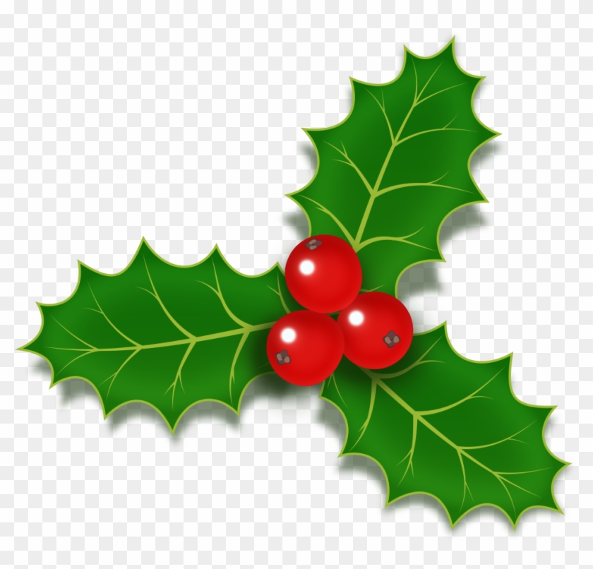 Common Holly Christmas Stock Photography Clip Art - Common Holly Christmas Stock Photography Clip Art #526518