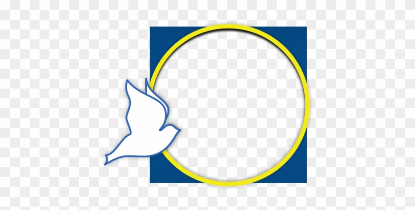 Splash Photo - Raul Seixas #526524