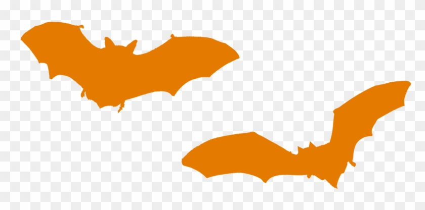 The Simple Life - Orange Bat Png #527243