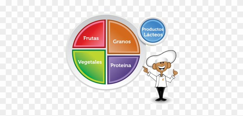 Project Of Food Plate #527647