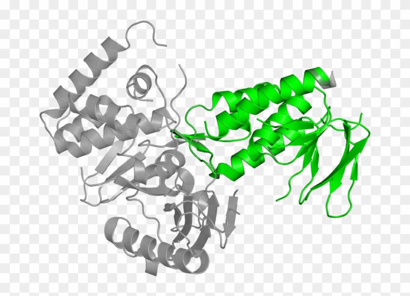 <div Class='caption-body'>1 Copy Of Cath Domain < - Illustration #528046