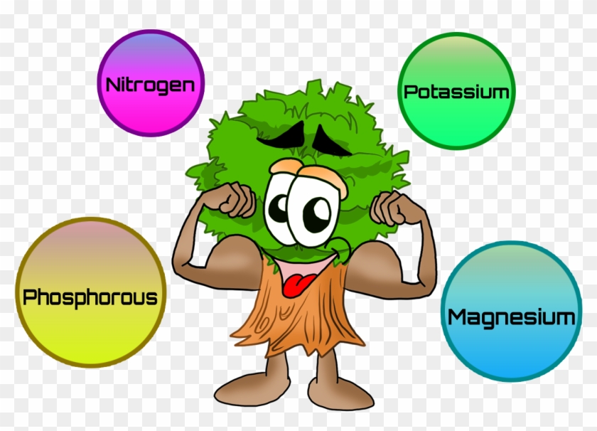 Click On Each Of The Nutrients To View Details - Nutrients For Plants Clipart #528085