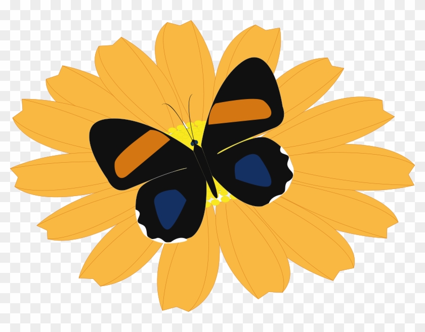 Get Notified Of Exclusive Freebies - Butterfly On Flower Shower Curtain #528247